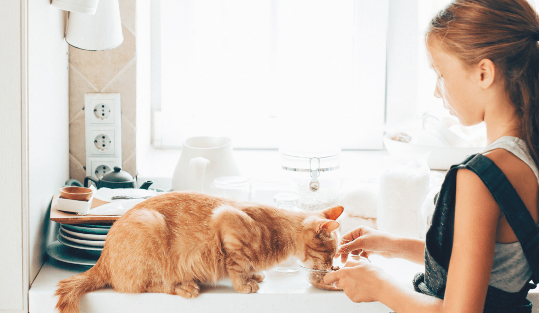 The Benefits of Pets for Children – Furry Friends